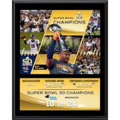 Denver Broncos 12" X 15" Super Bowl 50 Champions Sublimated Plaque