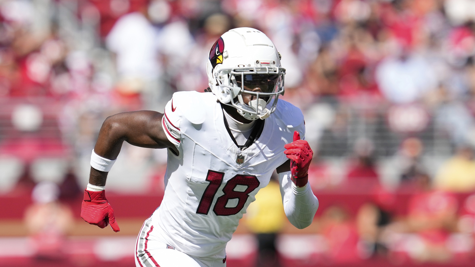 Riddel Shop -Riddel Shop bcb99c4a 077a 4589 831a